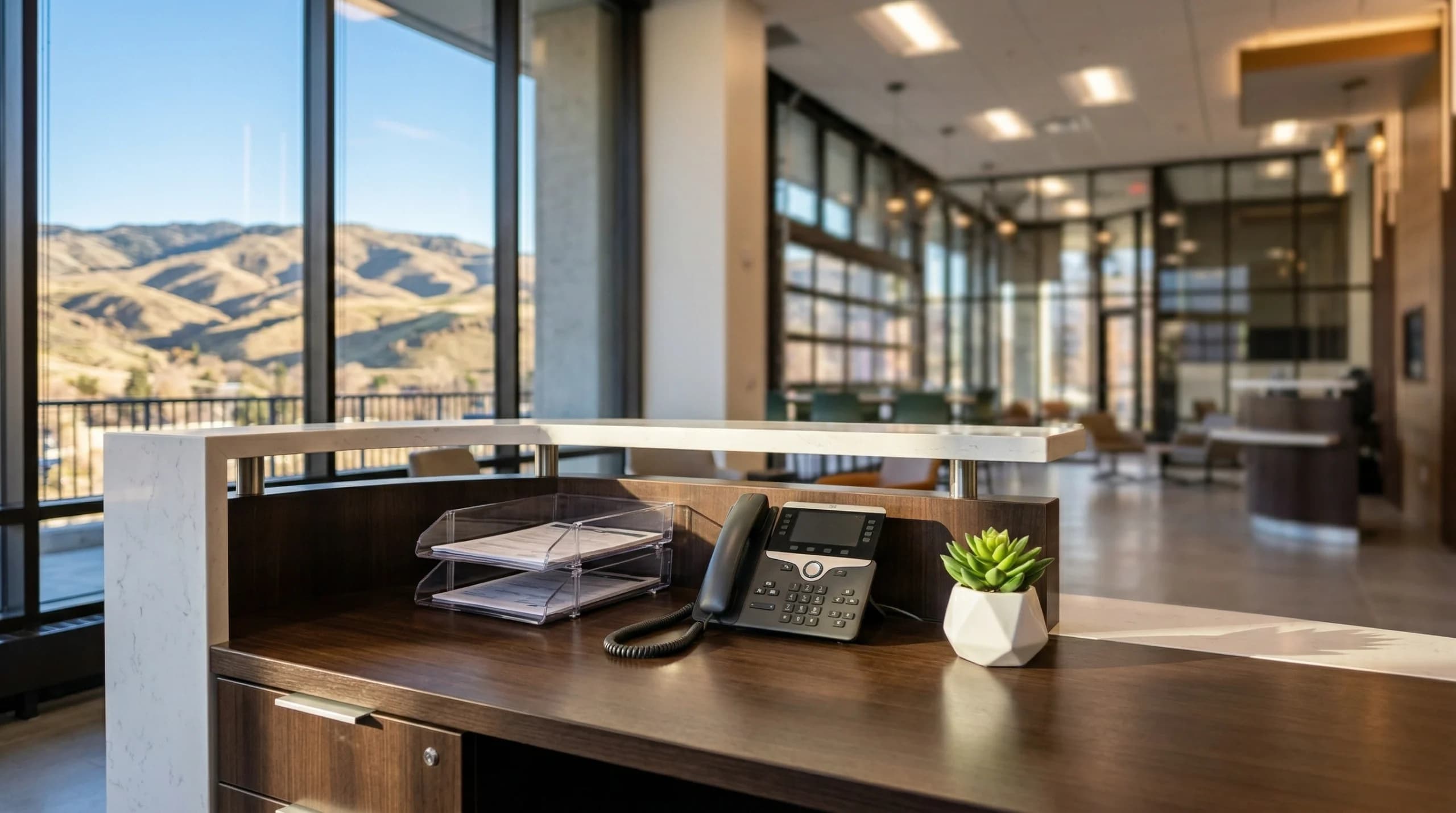 Virtual Office Image