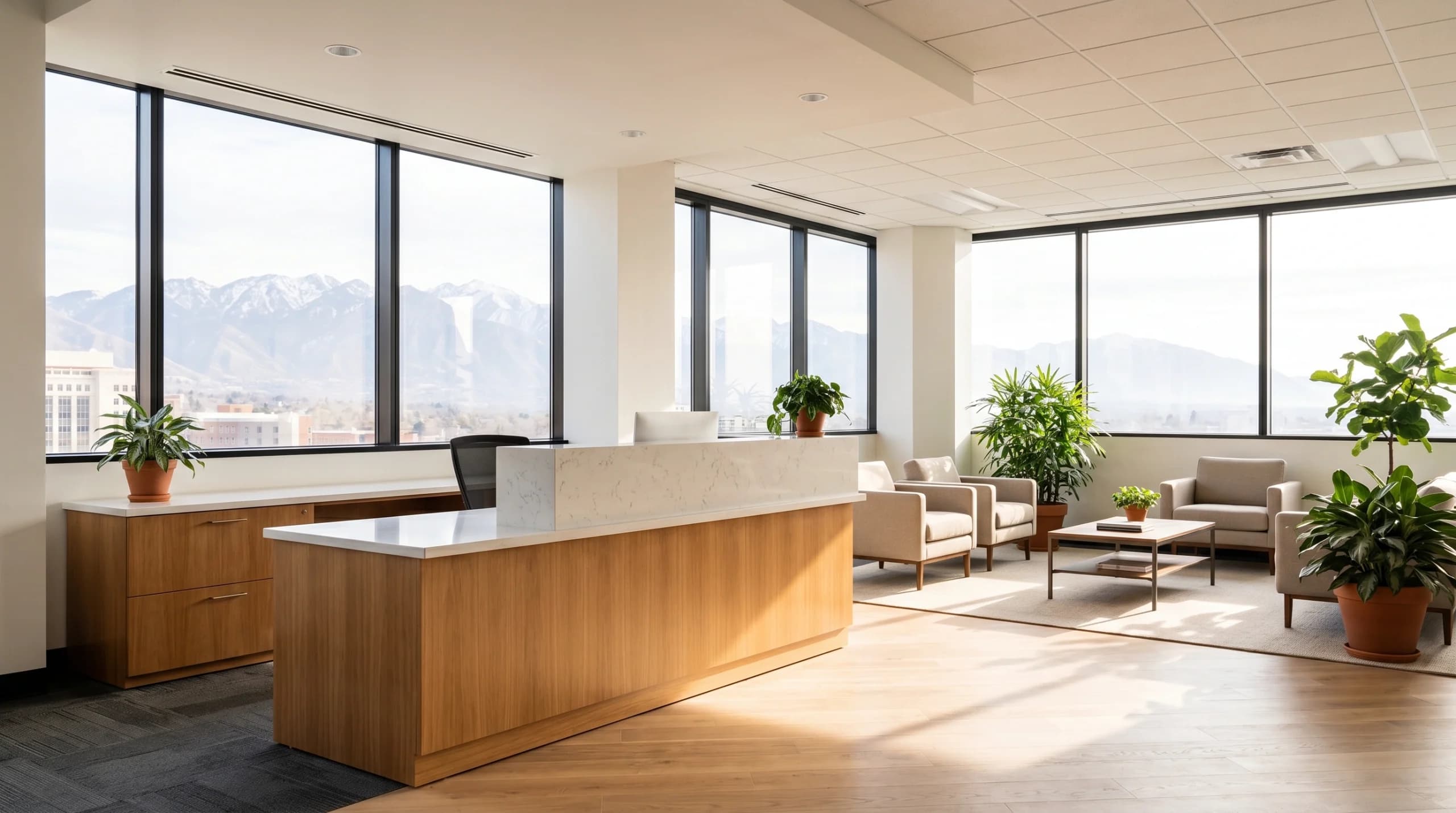 Virtual Office Image