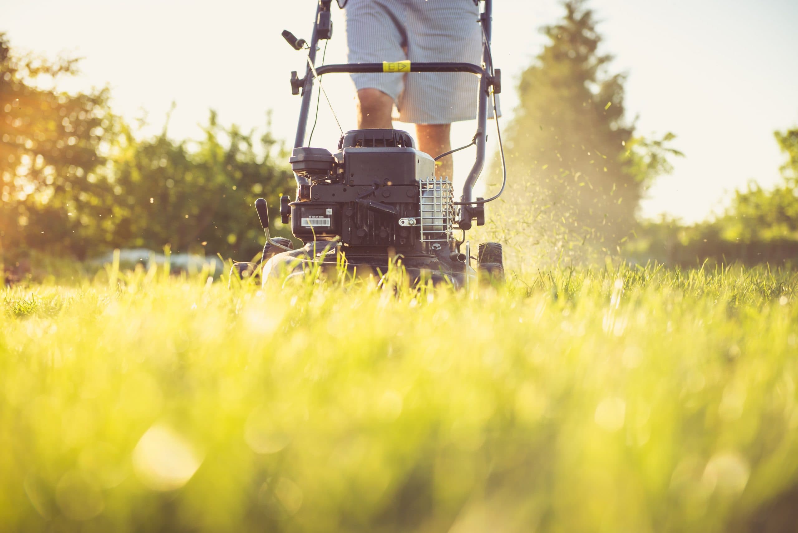Person mowing the lawn with a push mower at sunset.