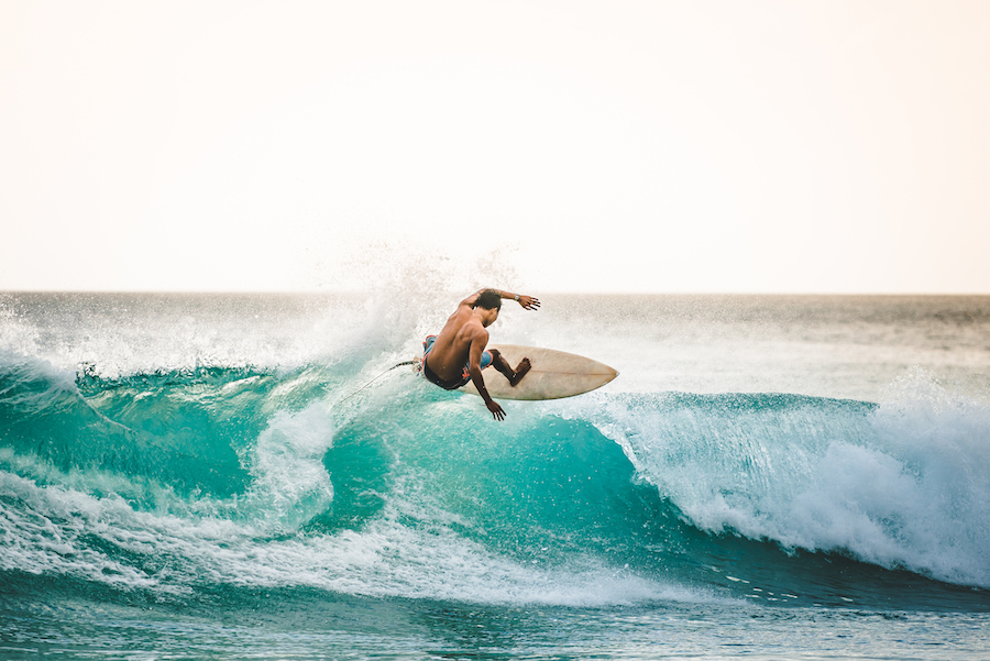 The Surfer Mentality, The Entrepreneurial Wave