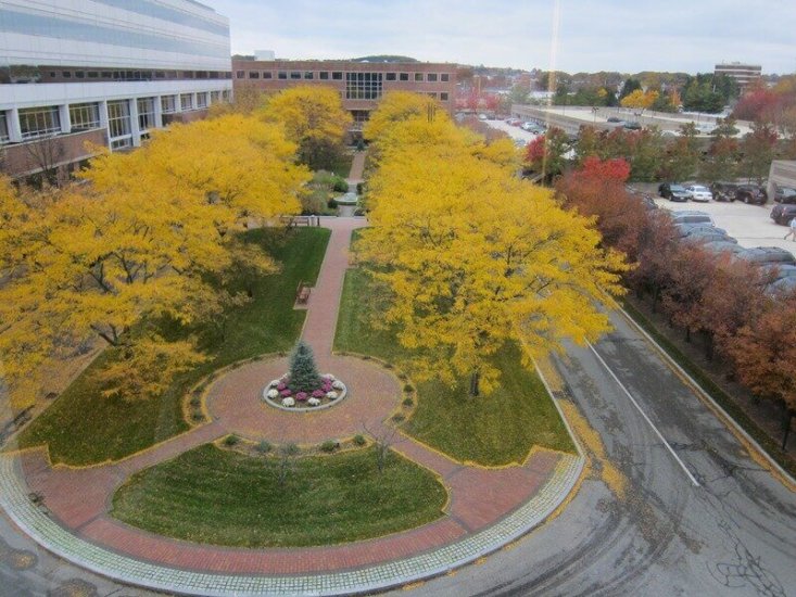 virtual office Framingham image 6